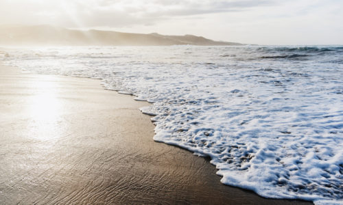 Feelin' Beachy with Early Bird Draws