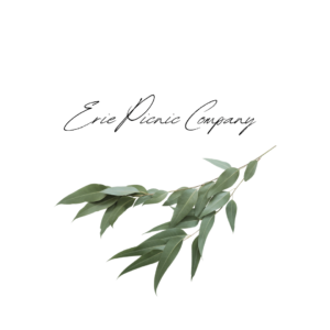erie logo